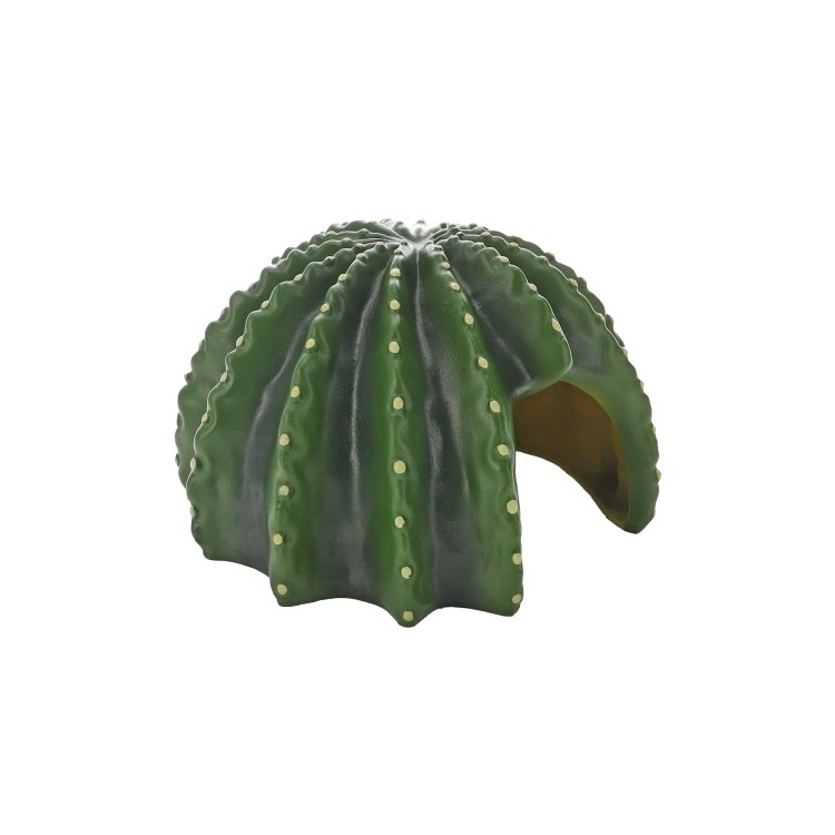 Decor tip pestera Hobby Cactus Home 4 - imagine 5